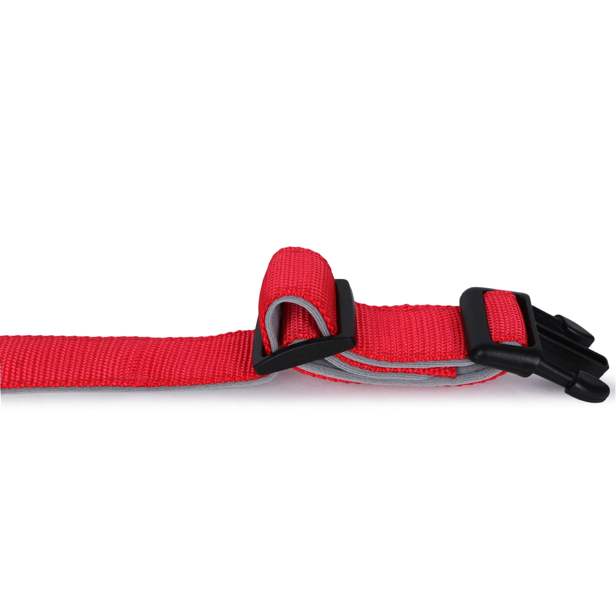 BASIL Padded Adjustable Collar for Dogs & Puppies (Red)