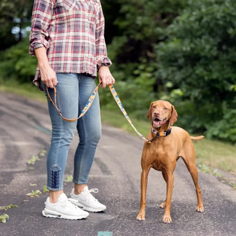 Cascade Dog Leash - Life is Better