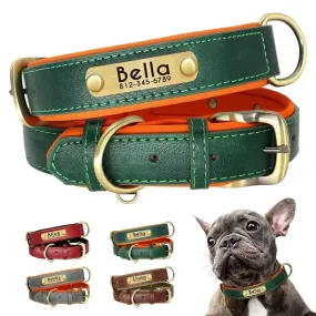 Custom Leather Dog ID Collar