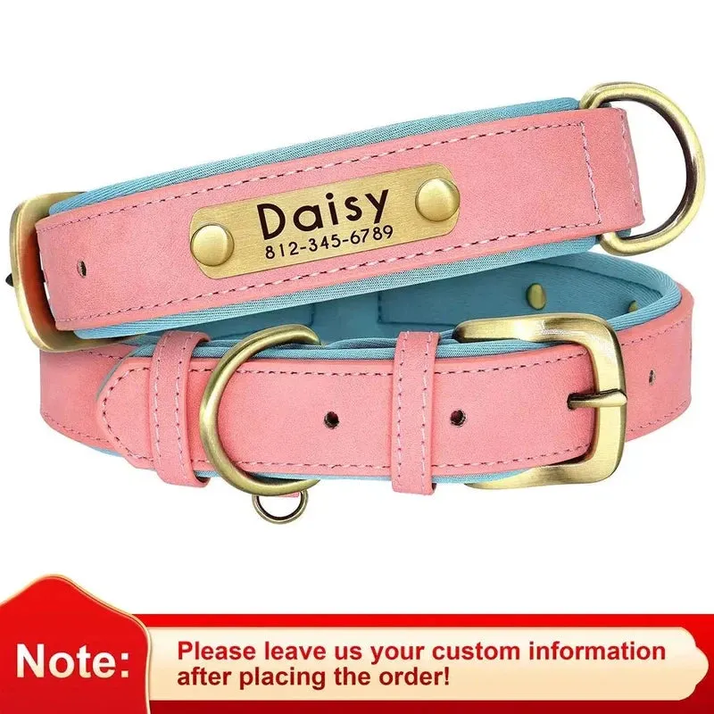 Custom Leather Dog ID Collar