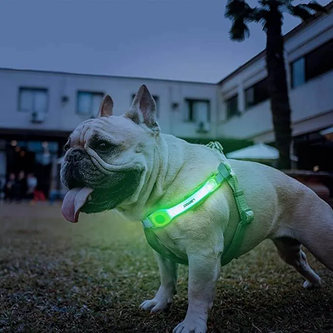 Dog Lights with Nylon Stickers for Night Walking Glowing Accessories for Collar Leash Harness