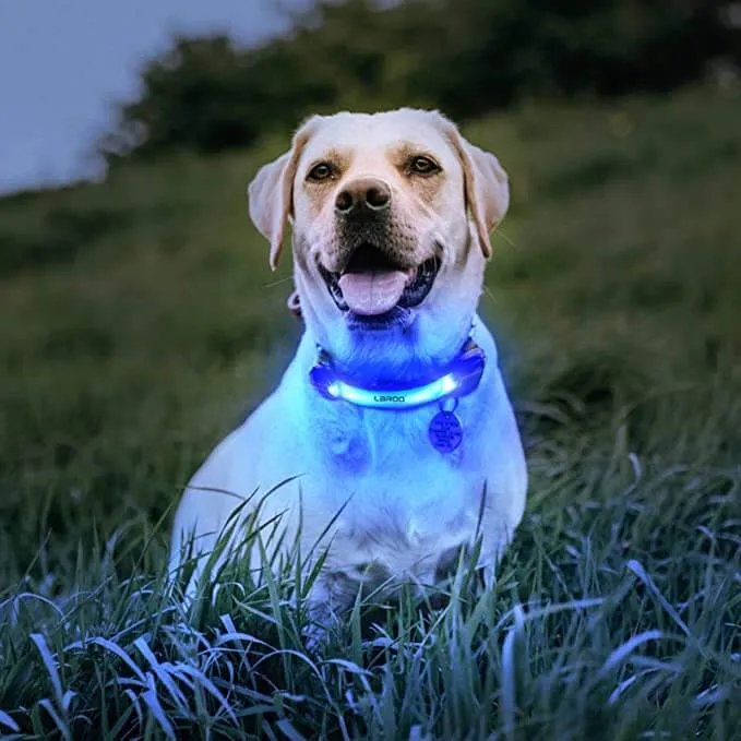 Dog Lights with Nylon Stickers for Night Walking Glowing Accessories for Collar Leash Harness