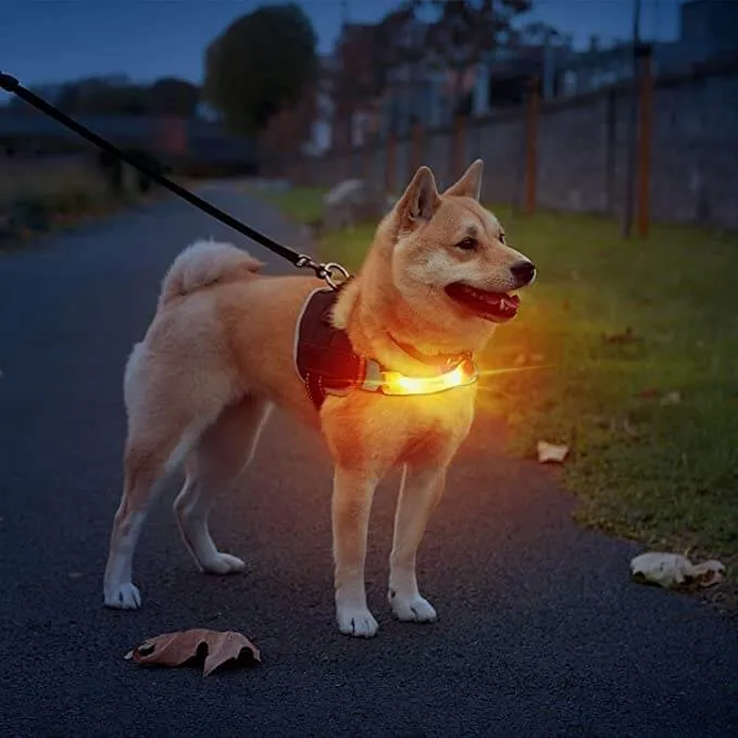 Dog Lights with Nylon Stickers for Night Walking Glowing Accessories for Collar Leash Harness