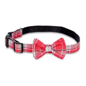 Dogs on Parade Large Dog Collar