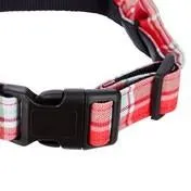 Dogs on Parade Large Dog Collar