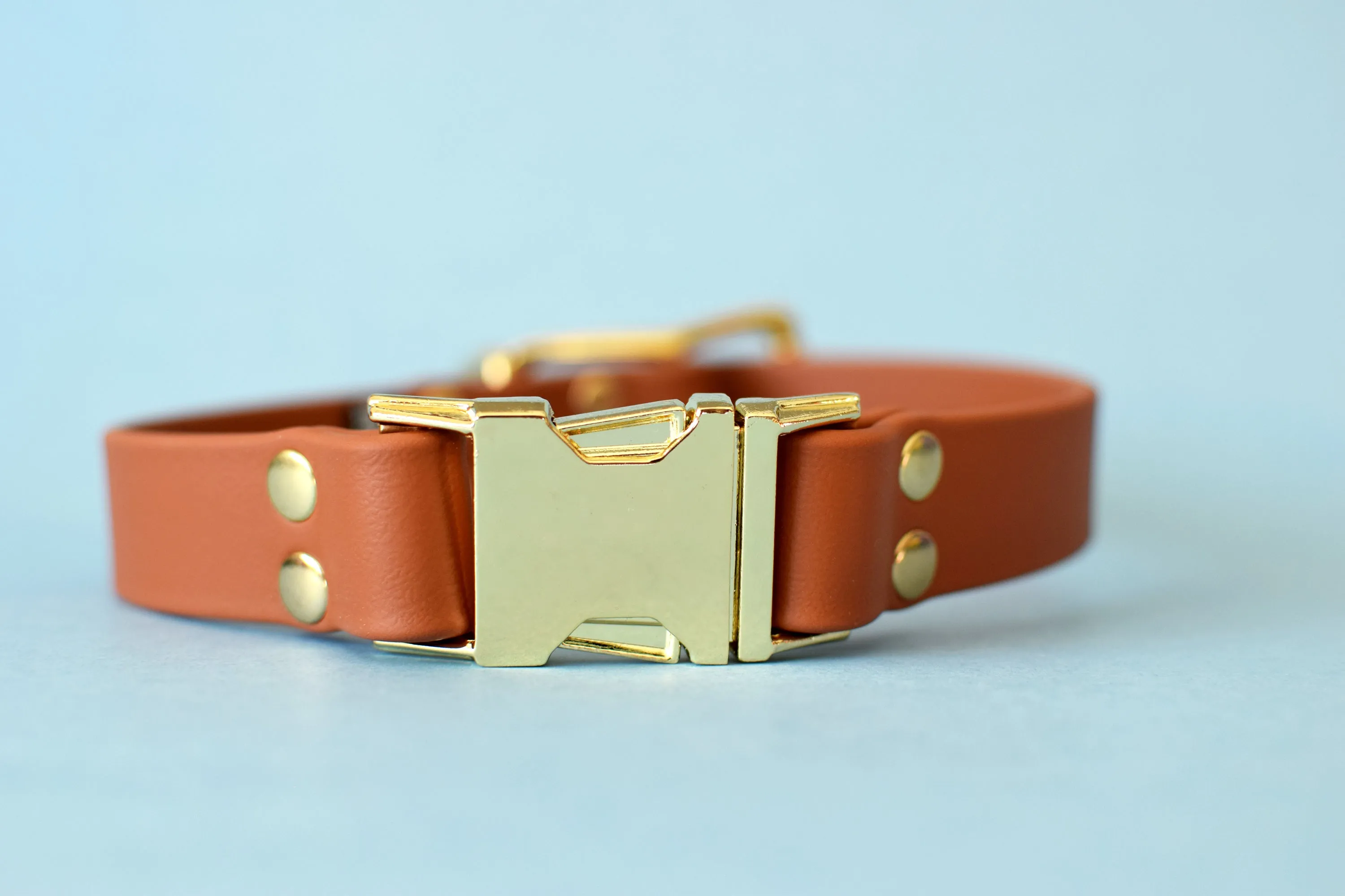 HARDWARE RETIREMENT SALE - Tan & Brass Biothane Dog Collar