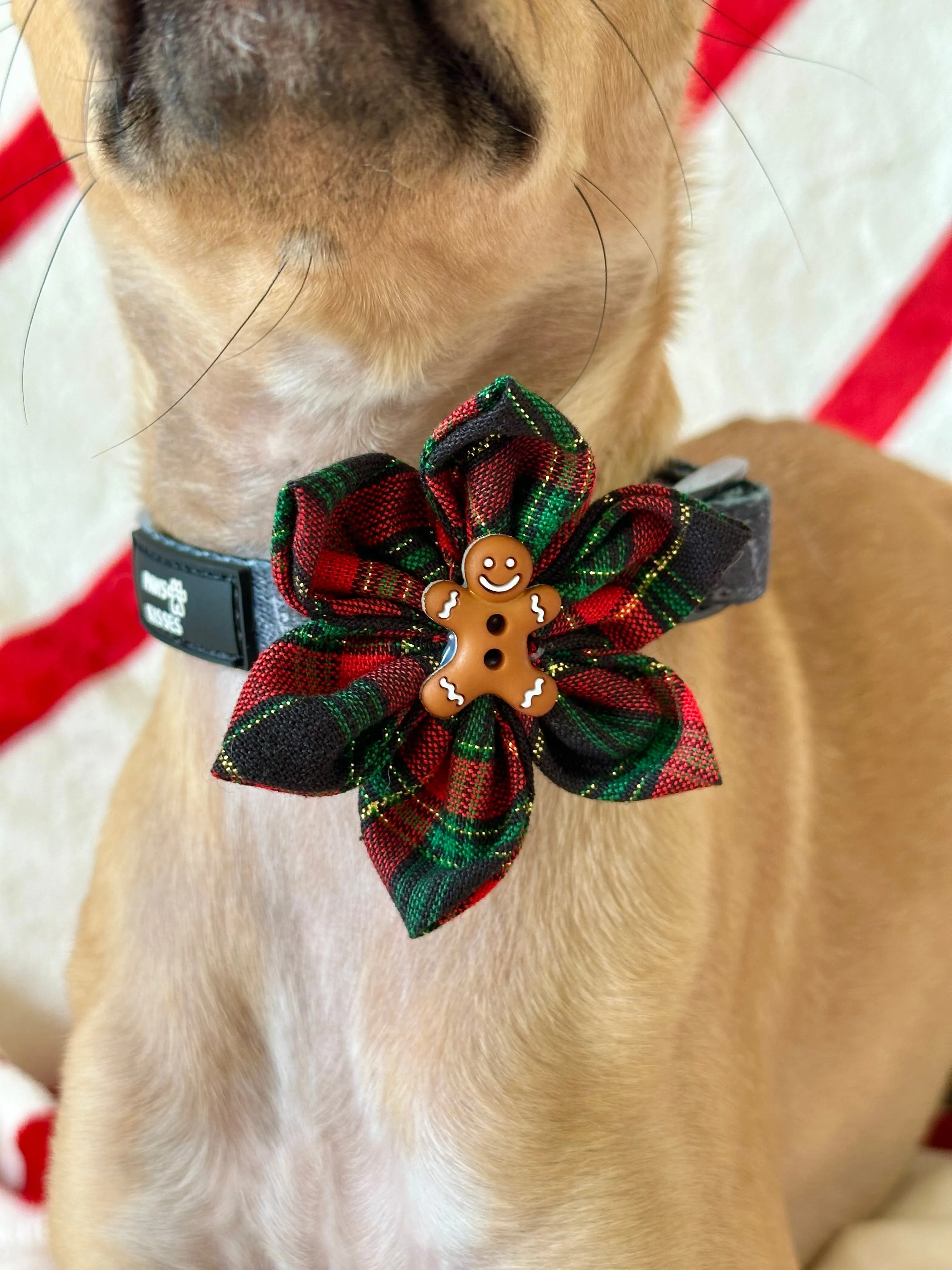 Holiday Collar Flowers