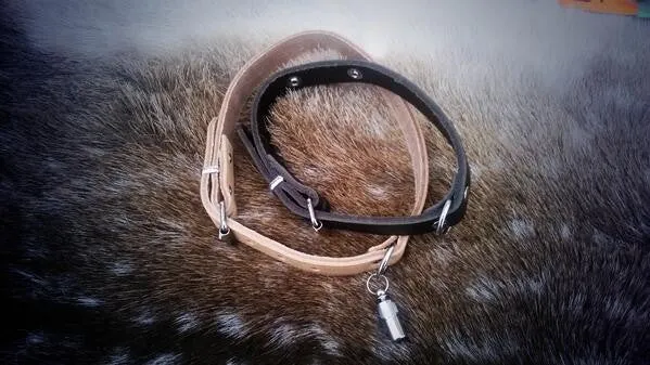 Leather Dog Collar (Classic)