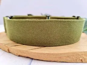 Olive Green martingale collar - Water Resistant