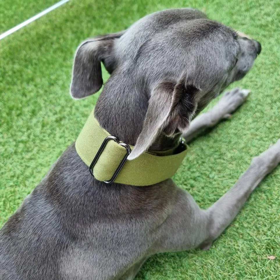 Olive Green martingale collar - Water Resistant