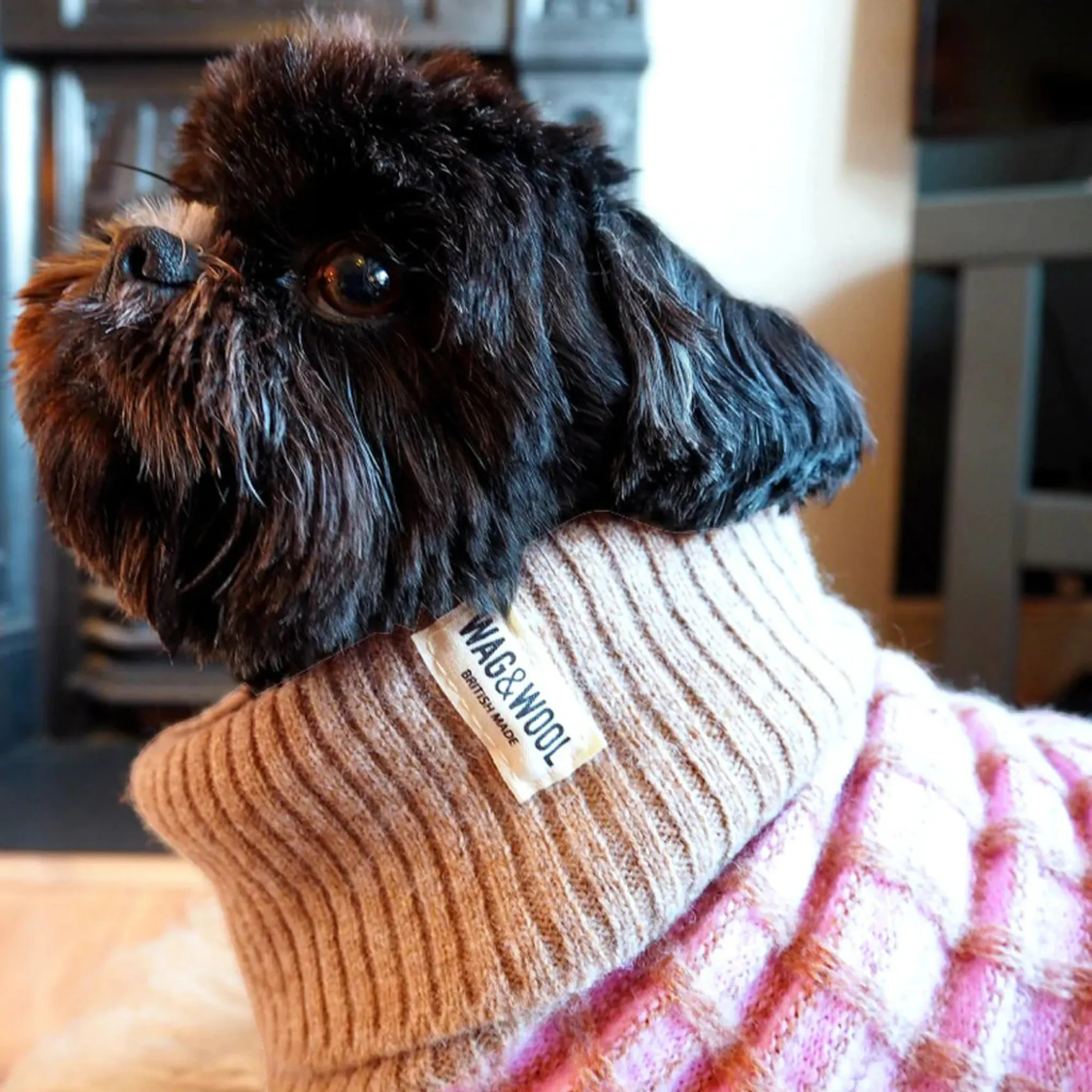 Paddy Dog Jumper Pink