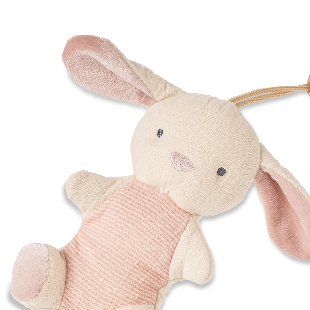 The Bitzy Pal Pacifier   Plush Toy - Bunny