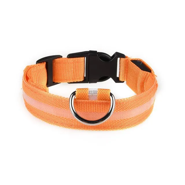 Vieruodis LED Cat Collar - Bright & Stylish Safety for Nighttime Adventures!