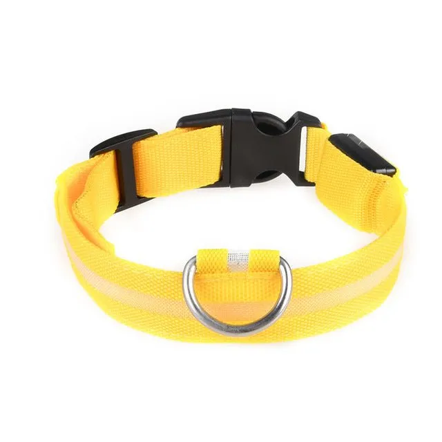 Vieruodis LED Cat Collar - Bright & Stylish Safety for Nighttime Adventures!