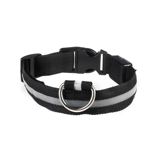 Vieruodis LED Cat Collar - Bright & Stylish Safety for Nighttime Adventures!