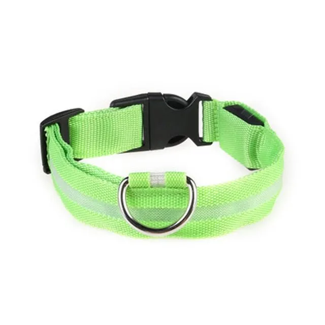 Vieruodis LED Cat Collar - Bright & Stylish Safety for Nighttime Adventures!