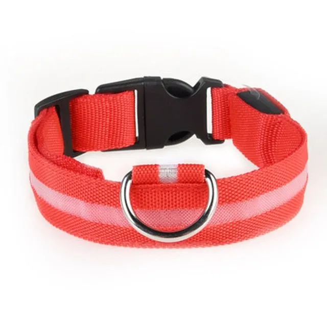 Vieruodis LED Cat Collar - Bright & Stylish Safety for Nighttime Adventures!