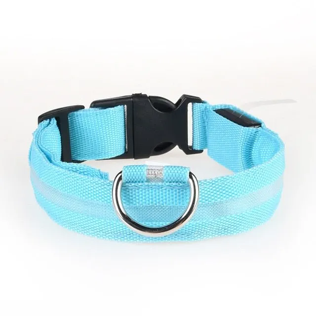 Vieruodis LED Cat Collar - Bright & Stylish Safety for Nighttime Adventures!