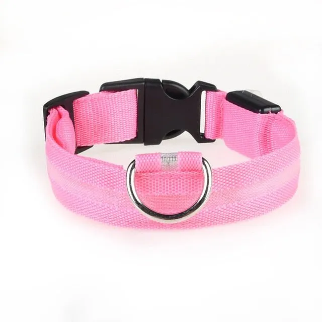 Vieruodis LED Cat Collar - Bright & Stylish Safety for Nighttime Adventures!