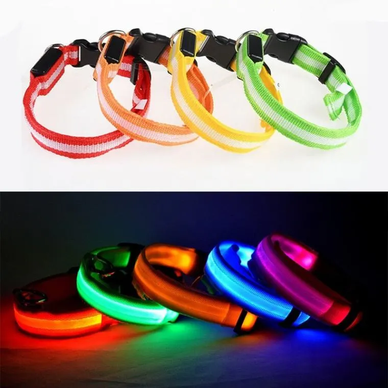 Vieruodis LED Cat Collar - Bright & Stylish Safety for Nighttime Adventures!