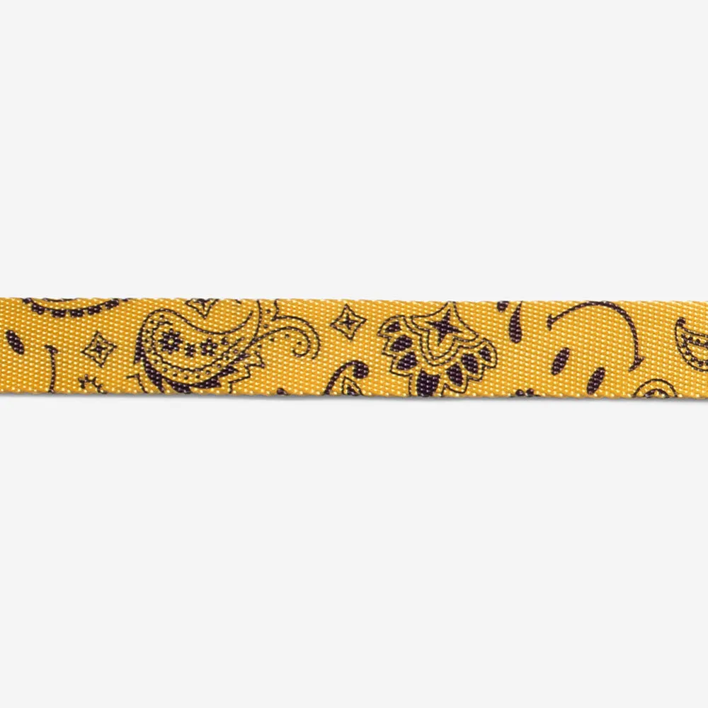 Zee.Dog x Chinatown Market Yellow | Collar